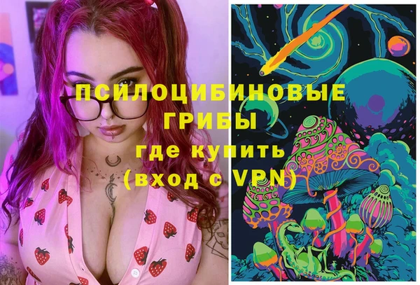 спиды Алексеевка