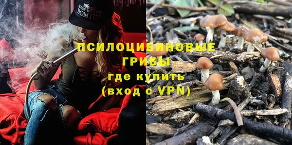 спиды Алексеевка