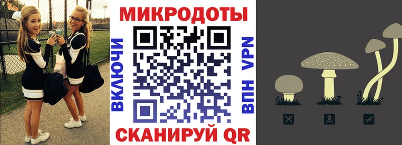 даркнет наркотические препараты  Жуков  Псилоцибиновые грибы Cubensis  купить наркоту  OMG ссылки 
